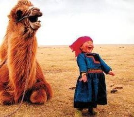 kameel lach meisje