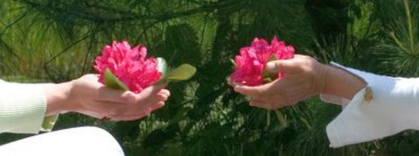Deze afbeelding heeft een leeg alt-attribuut; de bestandsnaam is bloem-hand-home-592.jpg
